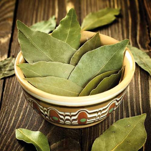 Bay Leaf